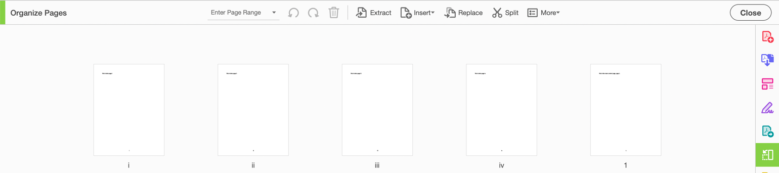 The Pages panel in Adobe Acrobat Pro showing pages numbered i, ii, iii, iv, 1.